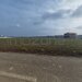 Dragomiresti Valea - Langa Centura, teren 15.600 mp, 35E/mp